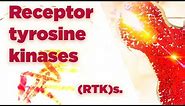 Receptor tyrosine kinases | (RTK)s | Cell Signaling