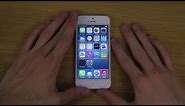 iPhone 5 iOS 8 Beta Hands-On First Look