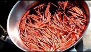 Dyeing Porcupine Quills