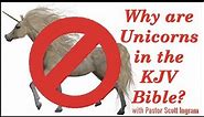 Why are Unicorns in the KJV Bible?
