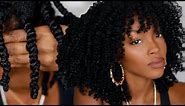 THE PERFECT TWIST OUT on Natural Hair | Slim Reshae