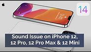 How to Fix Sound Issue on iPhone 12, 12 Pro, 12 Pro Max & 12 Mini in iOS 14?