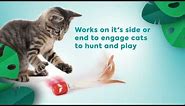 Instincts Sneaky Spinner™ Electronic Motion Cat Toy