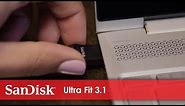 SanDisk Ultra Fit 3.1 | Official Product Overview