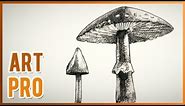 🍄 How to DRAW realistic MUSHROOMS step by step