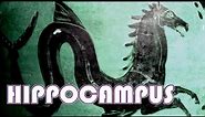 Hippocampus, A Giant SeaHorse? - Greek Mythology