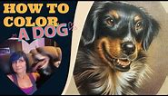 How To Color A Dog With Colored Pencils // BLACK, TAN & WHITE