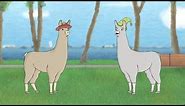 Llamas with Hats 5