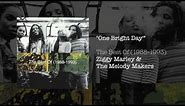 One Bright Day - Ziggy Marley & The Melody Makers | The Best of (1988-1993)