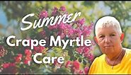 How to Make Your Crape Myrtle Bloom All Summer Long | Summer Crape Myrtle Care