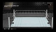 Nikki Bella WWE 2K19 updated move-set
