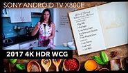 2017 Sony Android TV Review 4K HDR WCG XBR X800E - Netcruzer TECH