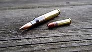 .22LR vs .223 Remington - A Beginner's Guide - The Truth About Guns