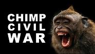 The First Documented Chimp War