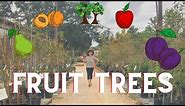 How to grow fruit trees in Texas