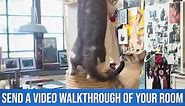 Attention cat lovers across the USA! Ready to win $500 in top-notch catification goodies? Simply share a video walkthrough of a room in your home that you’d love to have Kate Benjamin from @Hauspanther and me transform into a feline paradise! Don’t wait, submit yours right MEOW! 🏡🌟 #CatLovers #Catification #Contest #Cats #CatifyToSatisfy | Jackson Galaxy