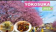 a day in YOKOSUKA Japan Family Travel 2023