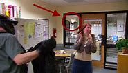 Everything fans ever wanted to know about the bat scenes on 'The Office'
