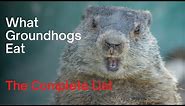 What Groundhogs Eat - The Complete Woodchuck Diet
