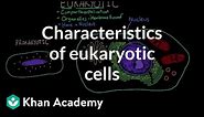 Characteristics of eukaryotic cells | Cells | MCAT | Khan Academy