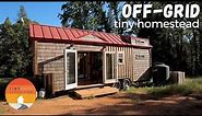 Off-Grid Tiny House Homestead - Amazing DIY Timber Frame Tiny Home