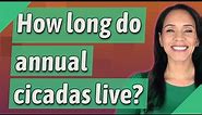 How long do annual cicadas live?