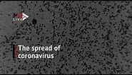 Under the microscope: Here's what the coronavirus looks like
