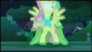 My Little Pony Friendship is Magic - The Best Night Ever: Fluttershy loses it