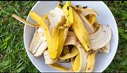 15 Surprising Uses For Bananas and Banana Peels