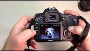 DSLR Basics using the Canon EOS 7D