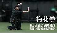 Plum Blossom Fist [梅花拳] Full Speed Demonstration