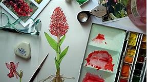 Orchid Botanical Illustration Step by step
