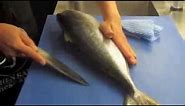 How to fillet Kingfish with Deba knife