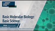 Basic Molecular Biology: Basic Science – RNA Structure