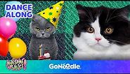 Cat Party Song | Songs for Kids | Dance Along | GoNoodle