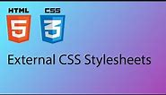 HTML & CSS 2020 Tutorial 10 - Styling your website with external stylesheets (CSS)
