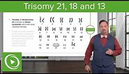 Chromosomal Abnormalities: Trisomy 21,18 & 13 – Embryology | Lecturio