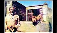 Bob Marley 4 76 Rastaman Chant & Lion of Judah