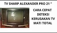 CARA PERBAIKI TV SHARP 21 INCH ALEXANDER PRO MATI TOTAL