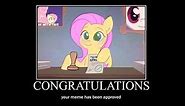 Fluttershy approved your meme