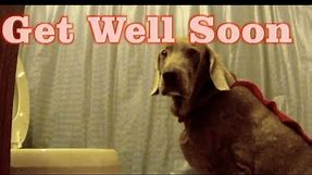 Get well soon video card hilarious send to sick friends