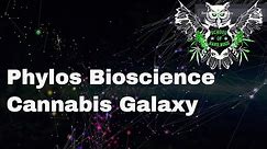 Phylos Bioscience Cannabis Genetic Galaxy | Get Your Marijuana Strain On The Galaxy | Weed Genetics