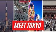 Tokyo Overview | An informative introduction to the world's LARGEST city