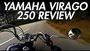 Yamaha Virago 250 Review | Best Beginner Cruiser Motorcycle - LIFE OF BRI