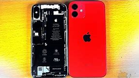 iPhone 12 Vs iPhone X Size Comparison!