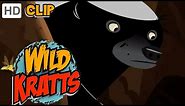 Wild Kratts - Honey Quest