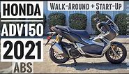 2021 Honda ADV 150 Scooter Walk-Around & Start-Up | Automatic Adventure Bike (ADV150 ABS)