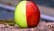 This Half Green, Half Red Apple is Probably One of the Rarest Ever