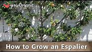 How to Grow an Espalier