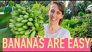 GROWING BANANAS IS EASY: Growing Food is Easy